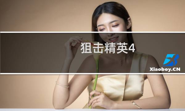 狙击精英4 攻略