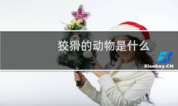 狡猾的动物是什么