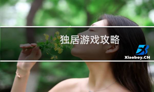 独居游戏攻略