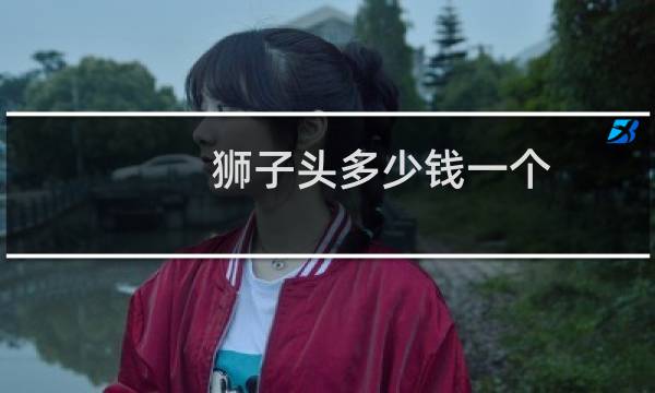 狮子头多少钱一个
