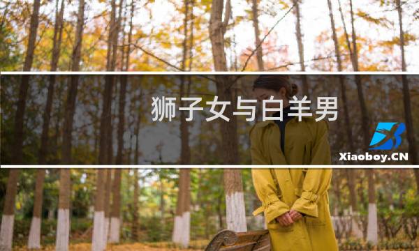 狮子女与白羊男