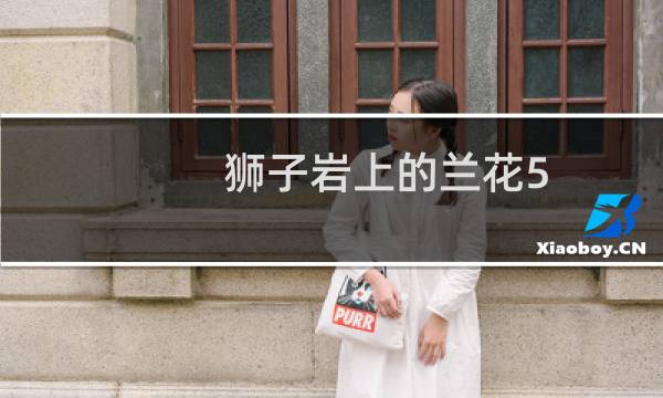 狮子岩上的兰花5 攻略