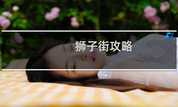 狮子街攻略
