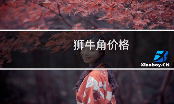 狮牛角价格