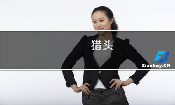 猎头 攻略