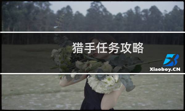 猎手任务攻略