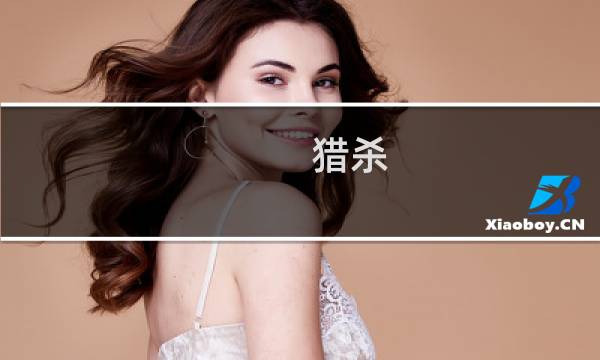 猎杀 对决 攻略