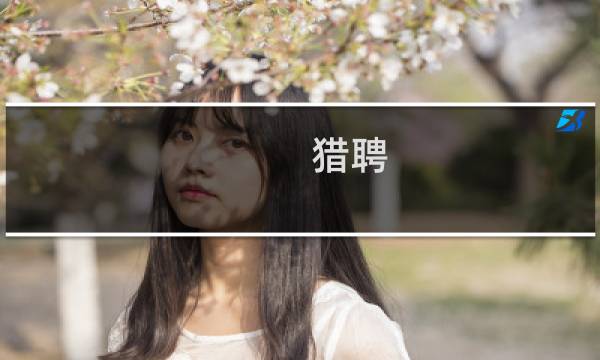 猎聘 攻略