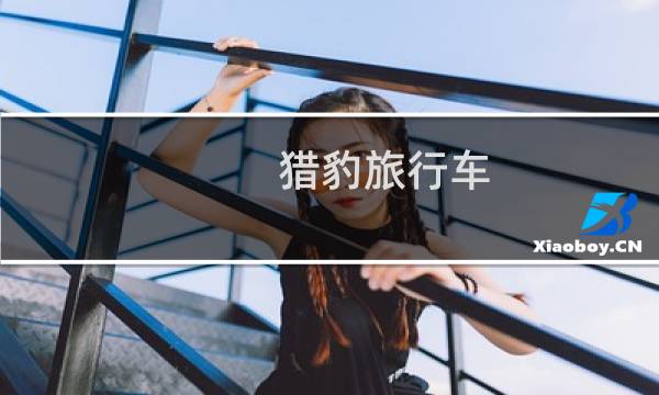 獵豹旅行車
