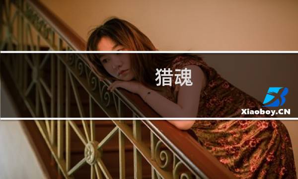 猎魂 猎人 攻略