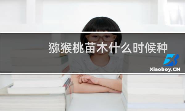 猕猴桃苗木什么时候种
