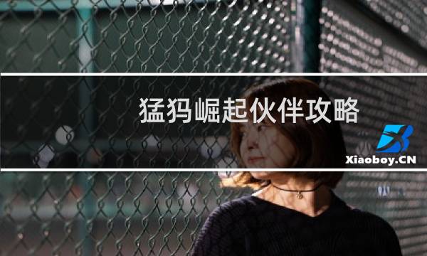 猛犸崛起伙伴攻略