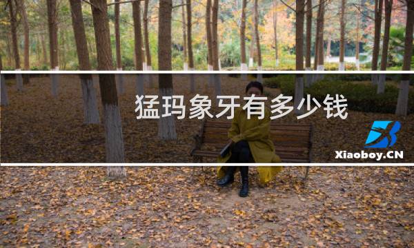 猛玛象牙有多少钱