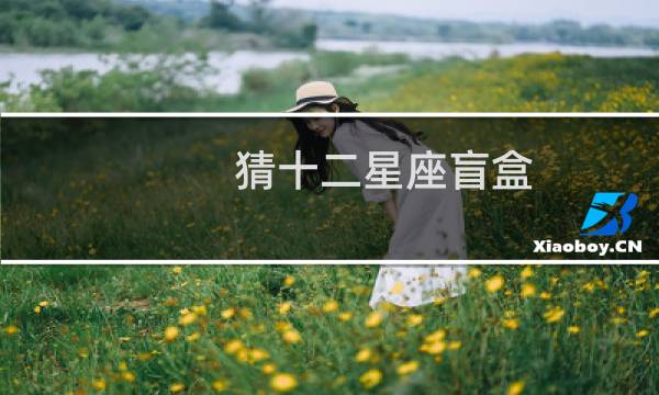 猜十二星座盲盒