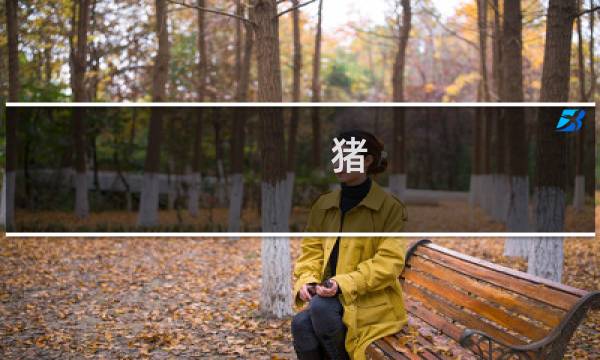 猪 最终幻想