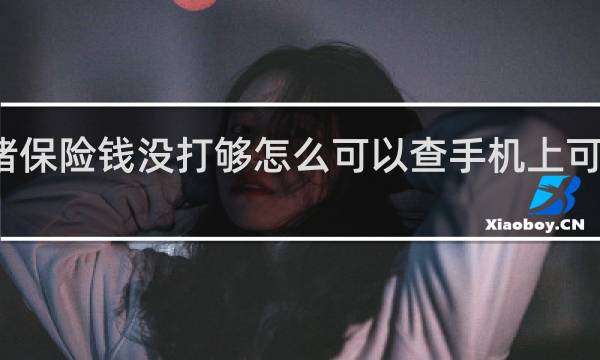 猪保险钱没打够怎么可以查手机上可以查吗