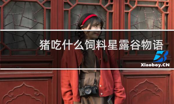 猪吃什么饲料星露谷物语