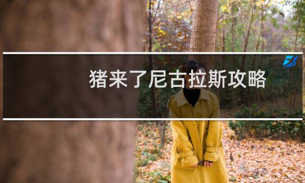 猪来了尼古拉斯攻略