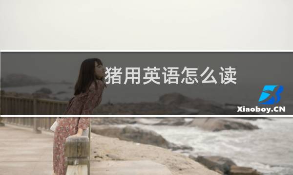 猪用英语怎么读