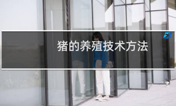 猪的养殖技术方法