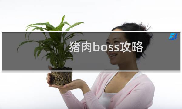 猪肉boss攻略