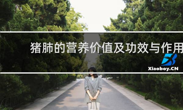 猪肺的营养价值及功效与作用
