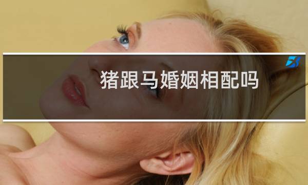 猪跟马婚姻相配吗