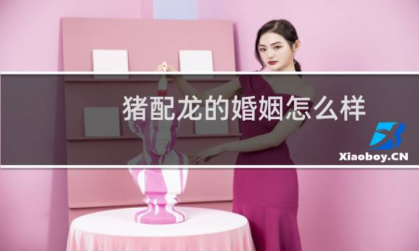 猪配龙的婚姻怎么样