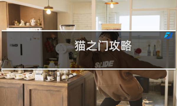 猫之门攻略