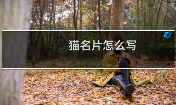 猫名片怎么写
