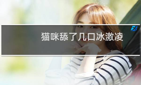 猫咪舔了几口冰激凌