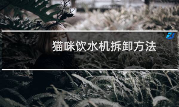 猫咪饮水机拆卸方法