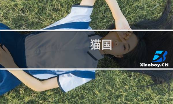 猫国 攻略