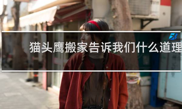 猫头鹰搬家告诉我们什么道理