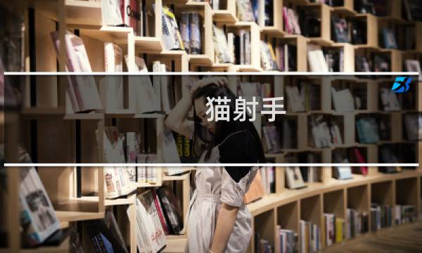 猫射手 攻略