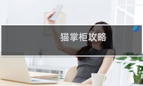 猫掌柜攻略