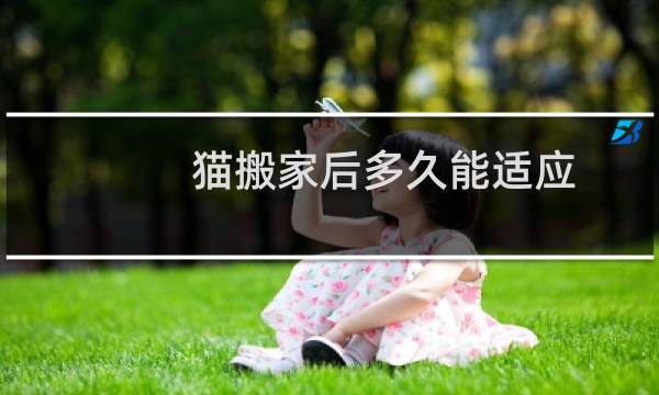 猫搬家后多久能适应