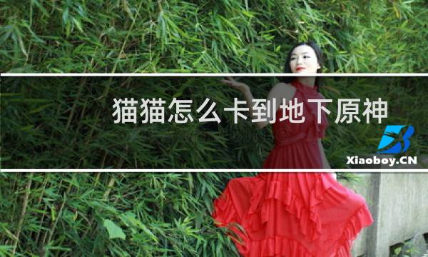 猫猫怎么卡到地下原神