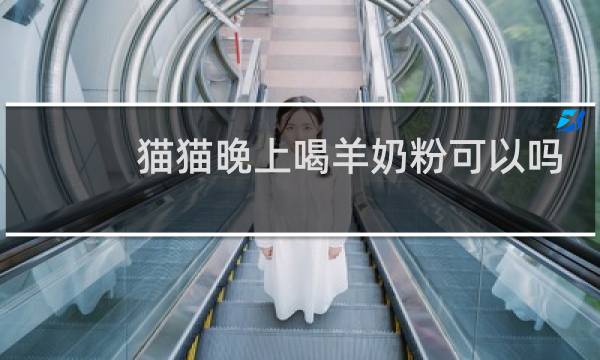 猫猫晚上喝羊奶粉可以吗