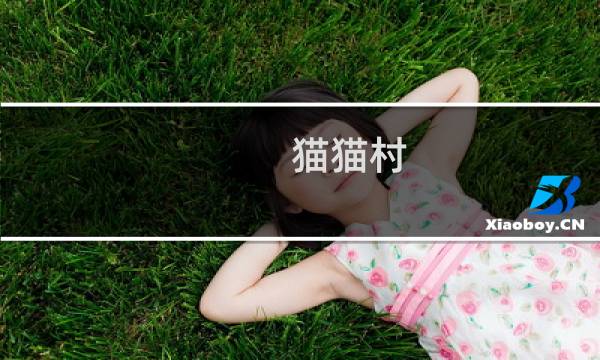 猫猫村 攻略