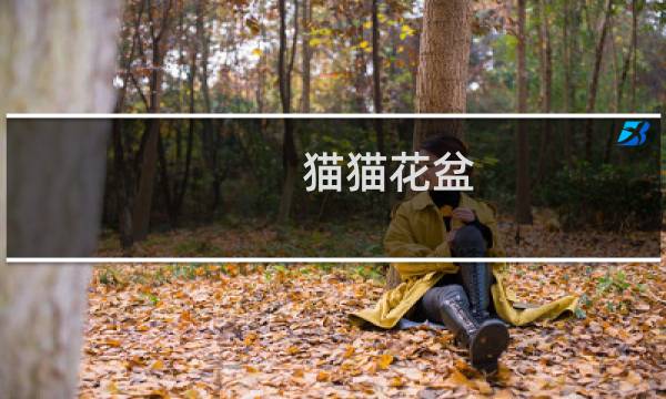 猫猫花盆 攻略