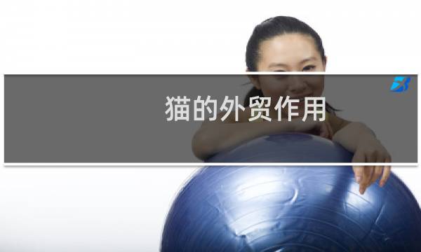 猫的外贸作用
