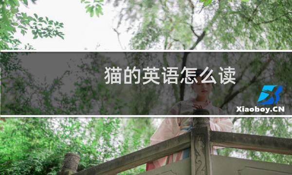 猫的英语怎么读