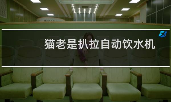 猫老是扒拉自动饮水机