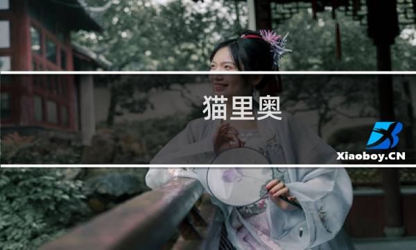 猫里奥 攻略