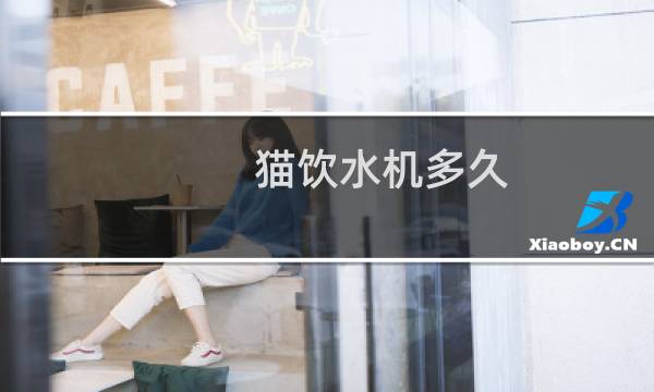 猫饮水机多久