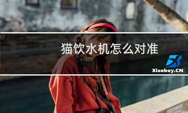 猫饮水机怎么对准