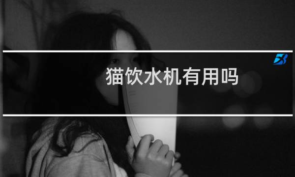 猫饮水机有用吗