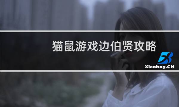 猫鼠游戏边伯贤攻略