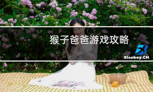猴子爸爸游戏攻略